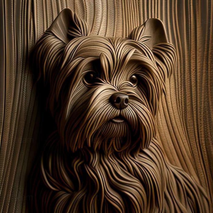 Beaver is a Yorkshire terrier dog